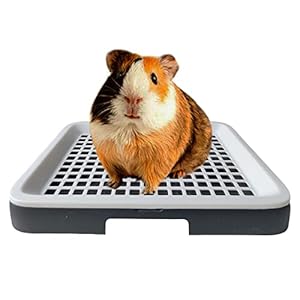 Oncpcare Guinea Pig Litter Tray Pan...