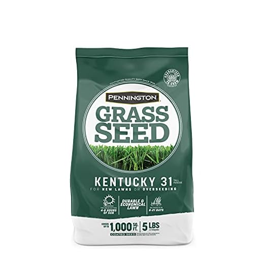 Pennington Kentucky 31 Tall Fescue Grass Seed, 5 LB
