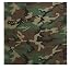 Woodland Camo