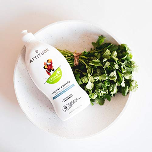 Image of Attitude Dish Soap, Plant-based, Hypoallergenic, Eco-friendly, Coriander & Olive, 23.7 Fl Oz (Pack of 2)