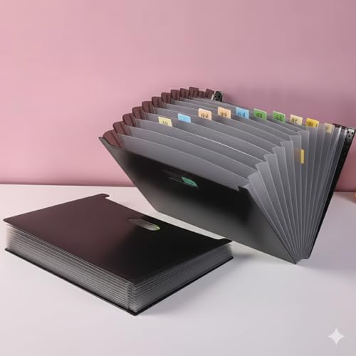 Pasta Acordeão Expansível com 12 Divisórias