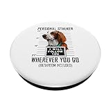 Zoom IMG-1 personal stalker welsh springer spaniel