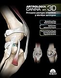 Artrología canina en 3D: Principales patologías ortopédicas y abordajes quirúrgicos. (VETERINARIA)