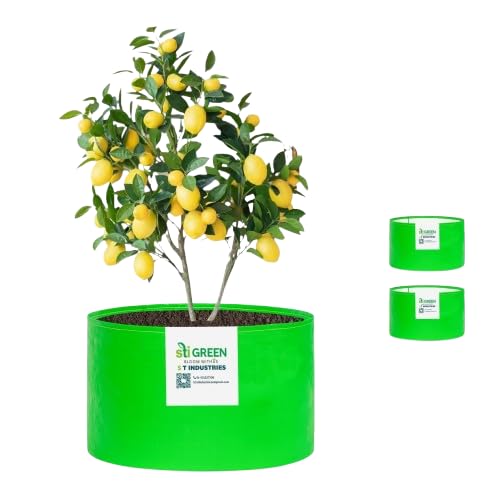 Image of HDPE Grow Bags for Plants 12X12 Inch (Pack of 3) | 260 GSM Heavy Duty UV-Protected Round Green Colour Plant Bags for Terrace and Vegetable Gardening | Strong & Reusable|
