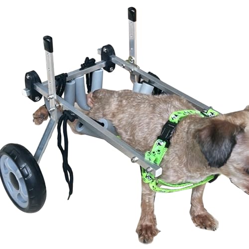 Poussette de dressage pour chiens handicapés et paralysés : aide à la marche