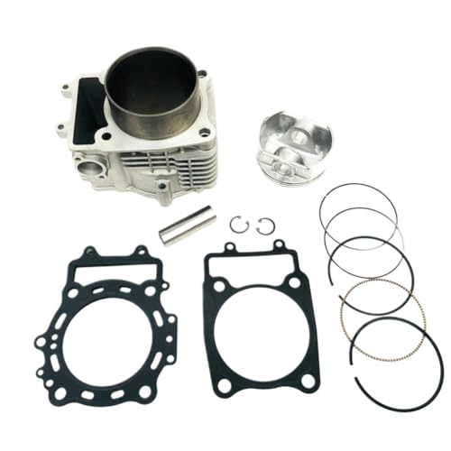 V_[ubNsXgKXPbgLbg 0600-023100 196s X6 Z6 ATV UTV S[J[gNbhƌ݊