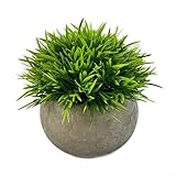 Mini plantes artificielles : le matériau PE réaliste imite l'herbe naturelle avec des teintes vertes vives et des pointes jaunâtres subtiles pour un toucher réaliste qui améliore n'importe quel espace