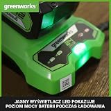 Ładowarka GREENWORKS 24V - G24C