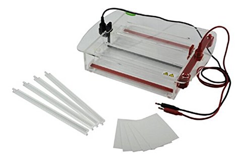GOWE Horizontaler Elektrophorese-Tank DNA Nukleinsäure Reinigung und Vorbereitungspuffer Volumen: 1000 ml