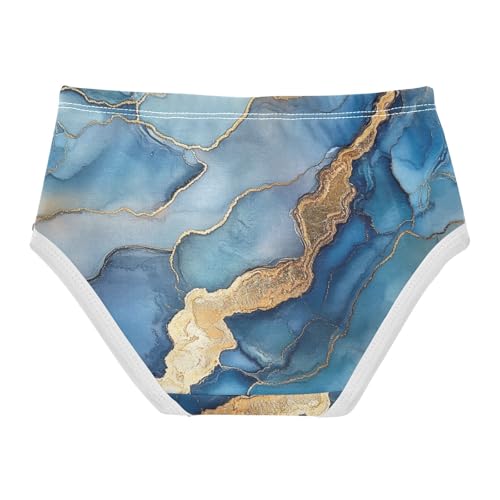 Underwear All Seasons Panties Briefs Underwear for Toddler in Sizes 2T,3T, 4T, 5T, 6Y and 8Y2