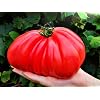 12-5-19+ High Cal Mag Vegetable Plant Marvel 5- Lb. Bag (25 Pound)
