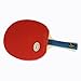 Palio Master 2.0 Table Tennis Racket & Case | ITTF-Approved Intermediate Ping Pong Paddle | Allround Spin, Speed and Control