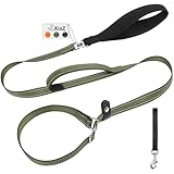 XiaZ 6FT Dog Leash with Comfortable Flat Collar and Soft Padded Handle,Nylon Reflective Double Handle No Pull Leash for Small Medium Large Dogs, Training Walking Running (Green)