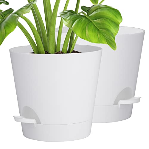 Idealife 8 Inch Maceta con Plato, 2 Packs Macetas Plástico Maceteros Decorativos Interior con Agujeros de Drenaje,Riego Automático Macetas para Plantas Flores,Decoración del Hogar Balcón Jardín