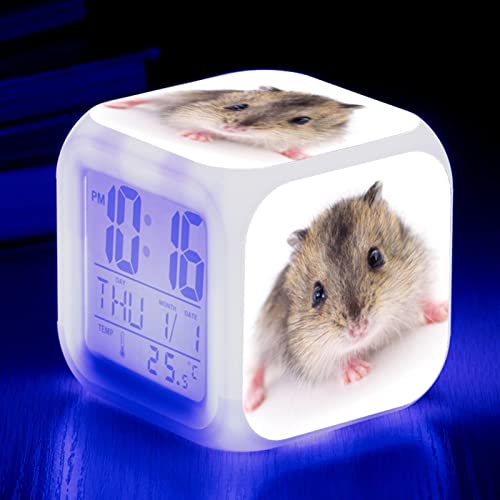 nX^[ڊo܂vp[\iCYꂽʐ^EFCNAbvCgLEDF̕ύXfW^ڊo܂vLbY[dqvvLbYMtg B