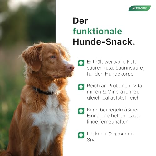 PRIVANA - Kokos-Sticks für Hunde (500g) - Hundesnack aus Kokospresskuchen, Natürliche Leckerlis aus 100% Kokosmark ohne künstliche Zusätze