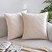MIULEE Copricuscini Divano in Velluto Camera da Letto Velluto gessato Resistente Cuscini Arredo Fodere Arredamento Casa 2 Pezzi 45X45CM Bianco Crema