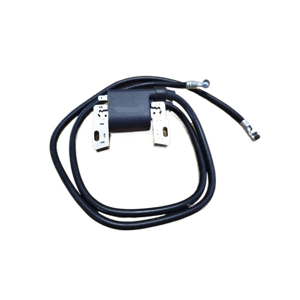 Bobine d'allumage BS392329 394988 590781 394895 394891 moteur thermique