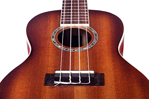 Image of Cordoba 15CM E Concert Electric Ukelele Edgeburst