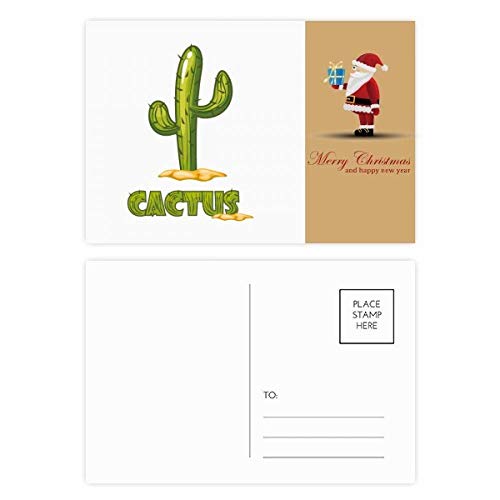 Cartes postales Père Noël Vert lot de 20 correspondance Noël nature cactus
