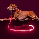 Colaseeme Light Up Dog Leash, LED Pet Leashes USB Rechargeable, Glow Safety Dogs Lights at Night (4FT,Pink)