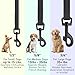 Dogline Biothane Waterproof Dog Leash Strong Coated Nylon Webbing with Black Hardware Odor-Proof Easy to Clean High Performance for Small or Large Dogs Made in USA 4 or 6 ft Lead, Black