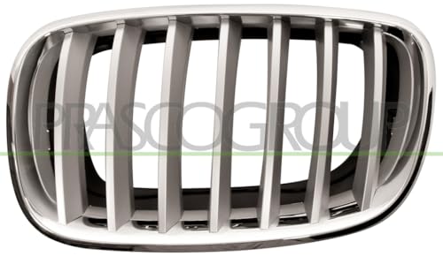 Grille de radiateur BM8222014 PRASCO remplacez calandre cassée BMW X5