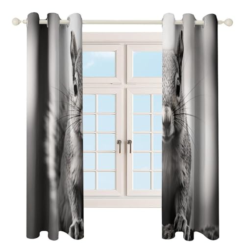 Rideaux isolants thermiques pour bloquer la lumière du salon