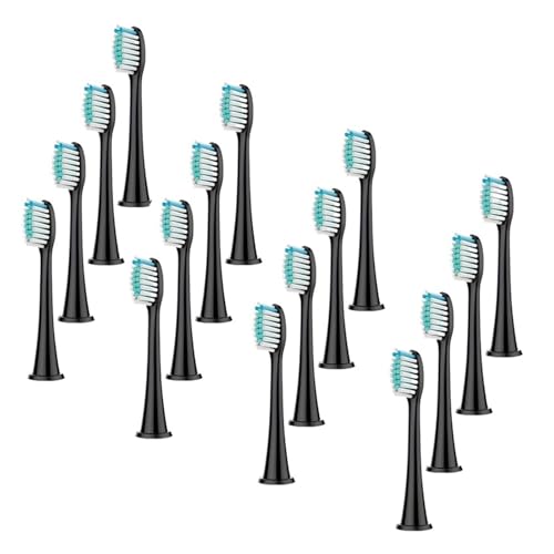 \ȉgduVwbhAtBbvXƌ݊A(BLACK 16pc)