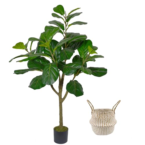 Comparativas de Árbol ficus - solo los mejores. 20 Comparativas de Árbol ficus - solo los mejores. 20