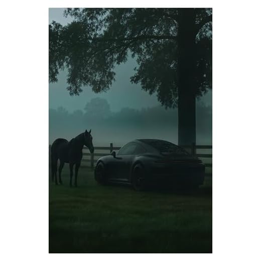 Motivational Wall Decor - Horse & Power - Hanging Art for Office and Bedroom, Inspirational Wall Decor, Mounted Motivating Art Work, Office Pictures Canva, Successs Quotes Poster (24" x 18" in)