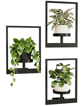 wall plant shelves for indoors