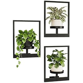 Bamworld Wall Planters...