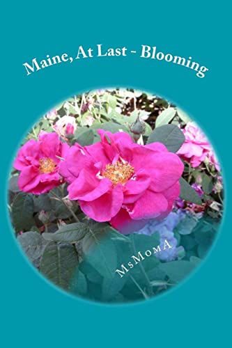 Maine, At Last - Blooming