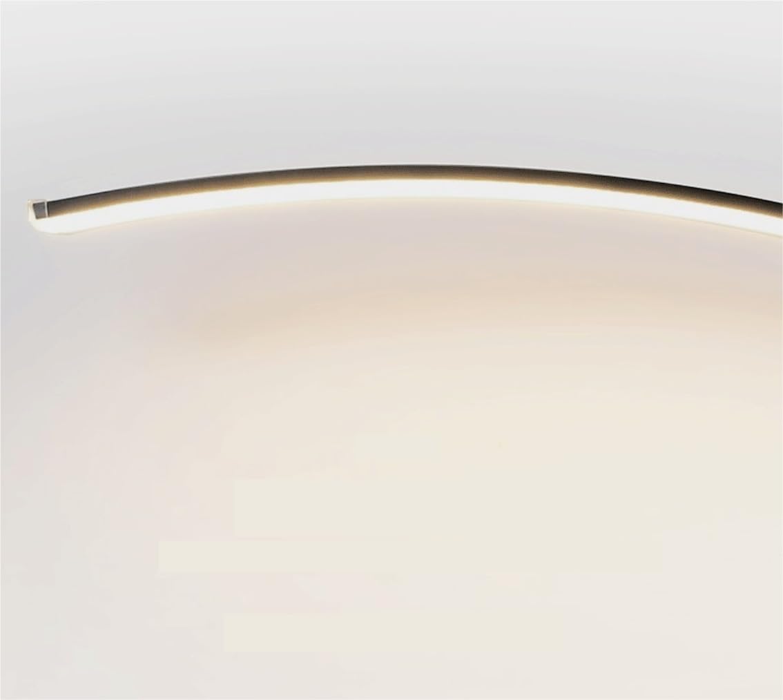 Lampes sur Pied Lampe de Plancher en Aluminium de pêche à LED Abat-Jour en Acrylique Lampe de Sol en Arc Lampe sur Pied à Base de Fer pour Lampe de Lecture de Chambre à Coucher de Salon (Couleur: Or,