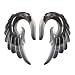 Wycian Plugs Gauges Set, Acrylic Gauges Tunnels 4mm 6G Resin Grey Black Angel Wings for Birthday Ear Plugs Jewelry for Women Jewelry Gift