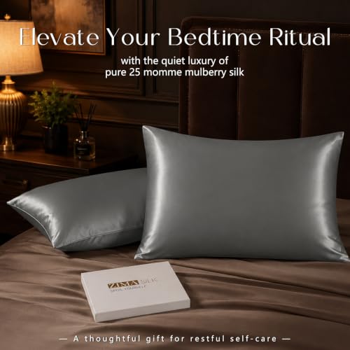 Image of ZIMASILK 25 Momme 100% Pure Mulberry Silk Pillow Cases, Iron Gray, Standard | Natural Silk, Highest Grade 6A, Hair and Skin Care, Thick & Soft, Gift for Women Men, 1pc (Standard 20 inchx26 inch)