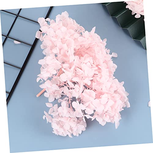 Pétalos de flor secos para decoración y arte de uñas miniatura 7