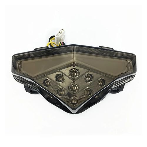 Luz trasera de motocicleta LED para rutas nocturnas seguras en Er6N Er6F y Ninja 650