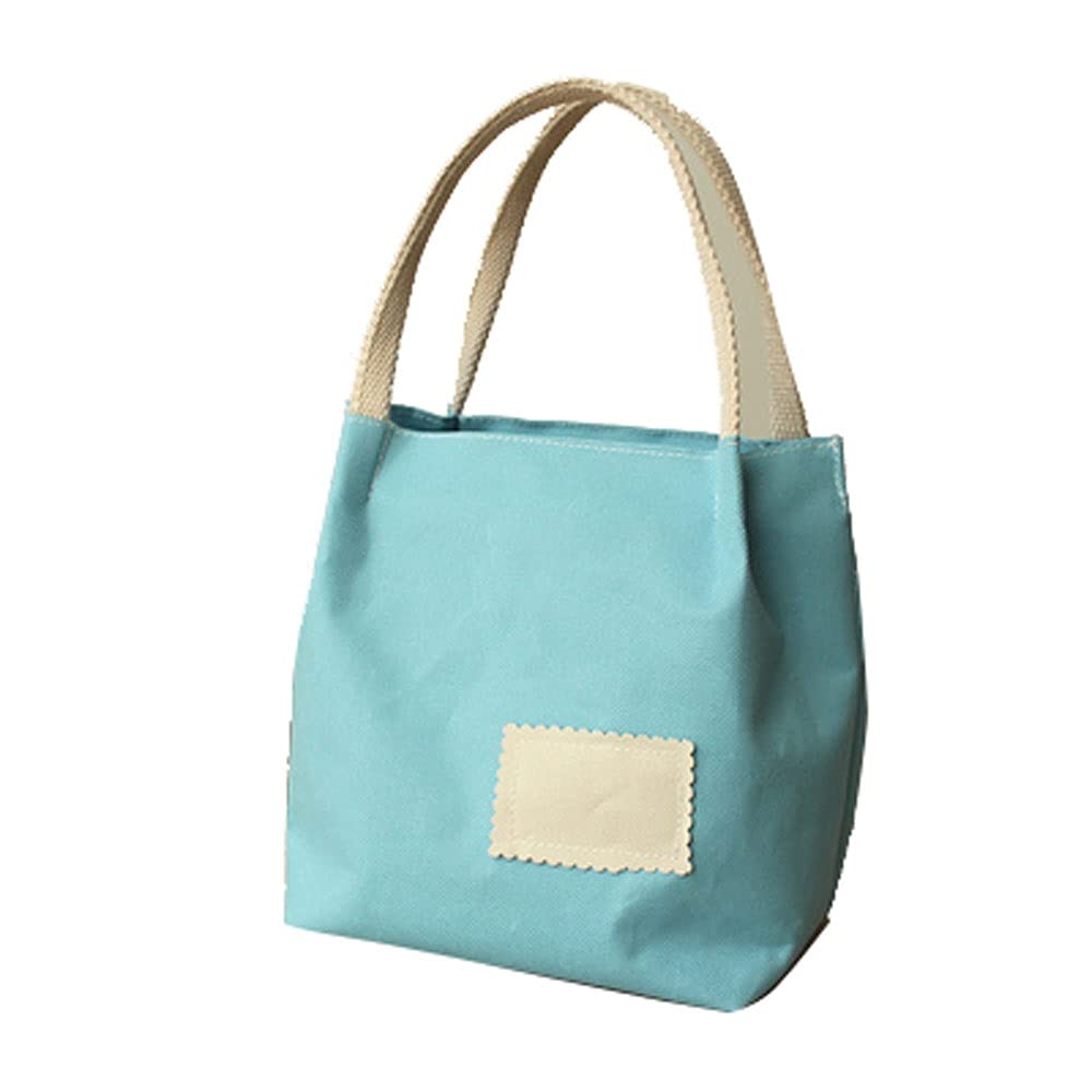 lunch canvas bag