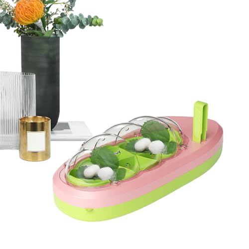 Cage pédagogique pour insectes avec aération et parois transparentes