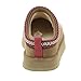 UGG Unisex-Child Tazz Slipper, Chestnut, 6
