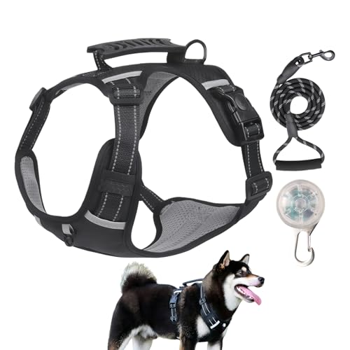 pn[lX - h~ ˃Xgbv n[lX,\  hbO[v - g~O Lv nCLO s g[jO TCNO p