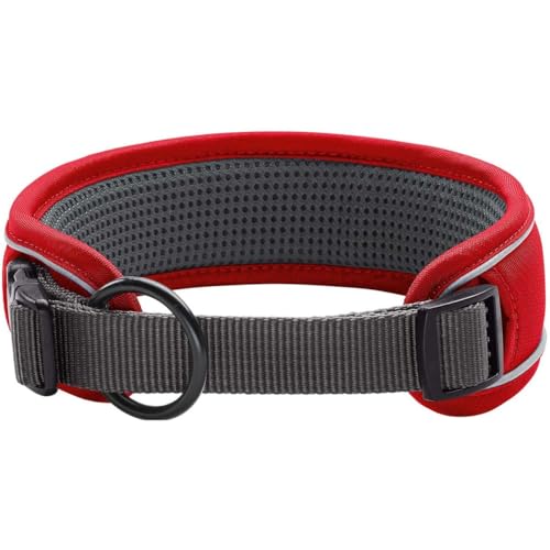 HUNTER DIVO Hundehalsung, Nylon, S, rot/grau
