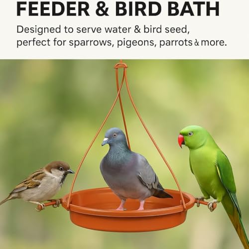 Image of Bird Water Feeder and Hanging Feeder for Small Cage Birds Like Love Birds and Finches