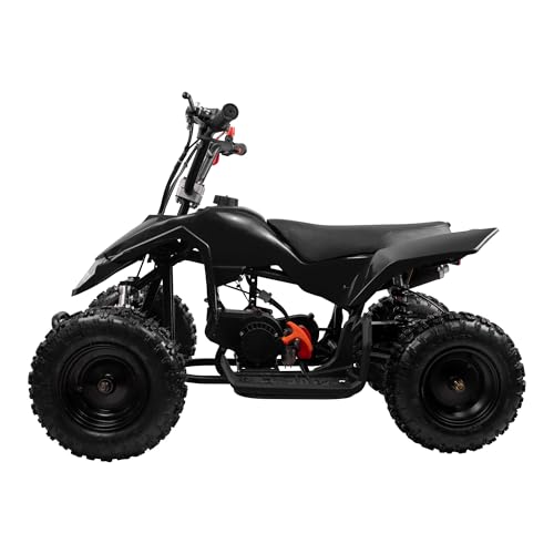 Kids Gas ATV, 50CC 2-Stroke Mini Gas 4 Wheeler for Kids with Front & Rear Disc Brake, with Speed Control Weight Support Up to 300 LBS (Santa)