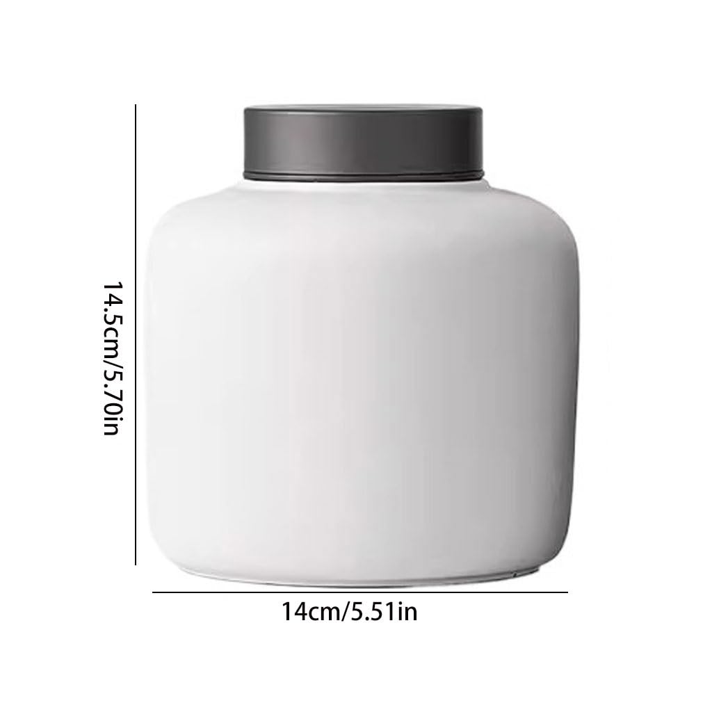 HLTYGWX Teedose und Schlichtes Glas, Keramik-Teedose, für den Haushalt, große Pu'er-Vorratsdose für losen Tee, Teedose (C)