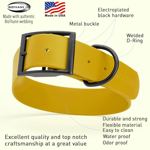 Image of Dogline Biothane Waterproof Dog Collar Strong Coated Nylon Webbing with Black Hardware Odor- Proof for Easy Care Easy to Clean High Performance Fits Small Medium or Large Dogs, Treasure Gold