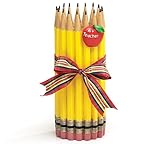 Burton and Burton Unique Pencil Shape Teachers Vase with Apple