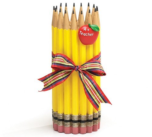 Burton and Burton Unique Pencil Shape Teachers Vase with Apple